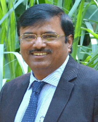 MV Narasimham - CFO Board Member